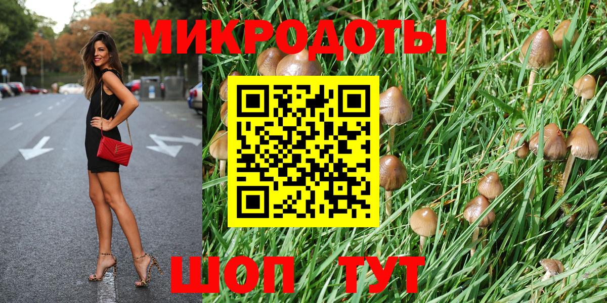 Малоярославец  Галлюциногенные грибы мицелий  Вход с VPN 