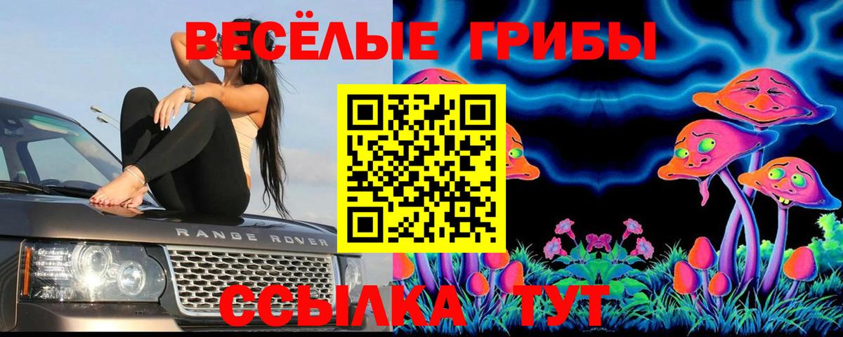 Псилоцибиновые грибы ЛСД Малоярославец